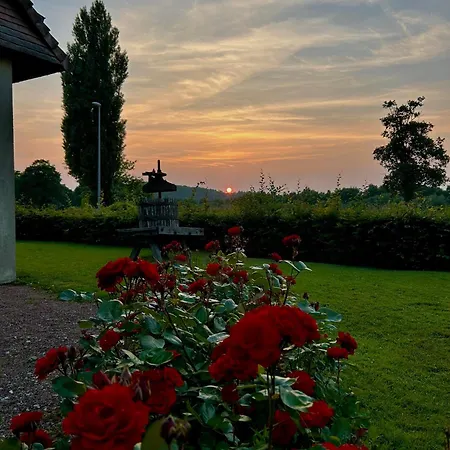 D'andaines Otel La Ferte-Mace